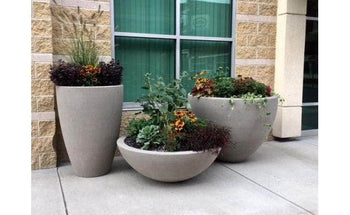 Medium Concrete Bowl Planter - 48 in.